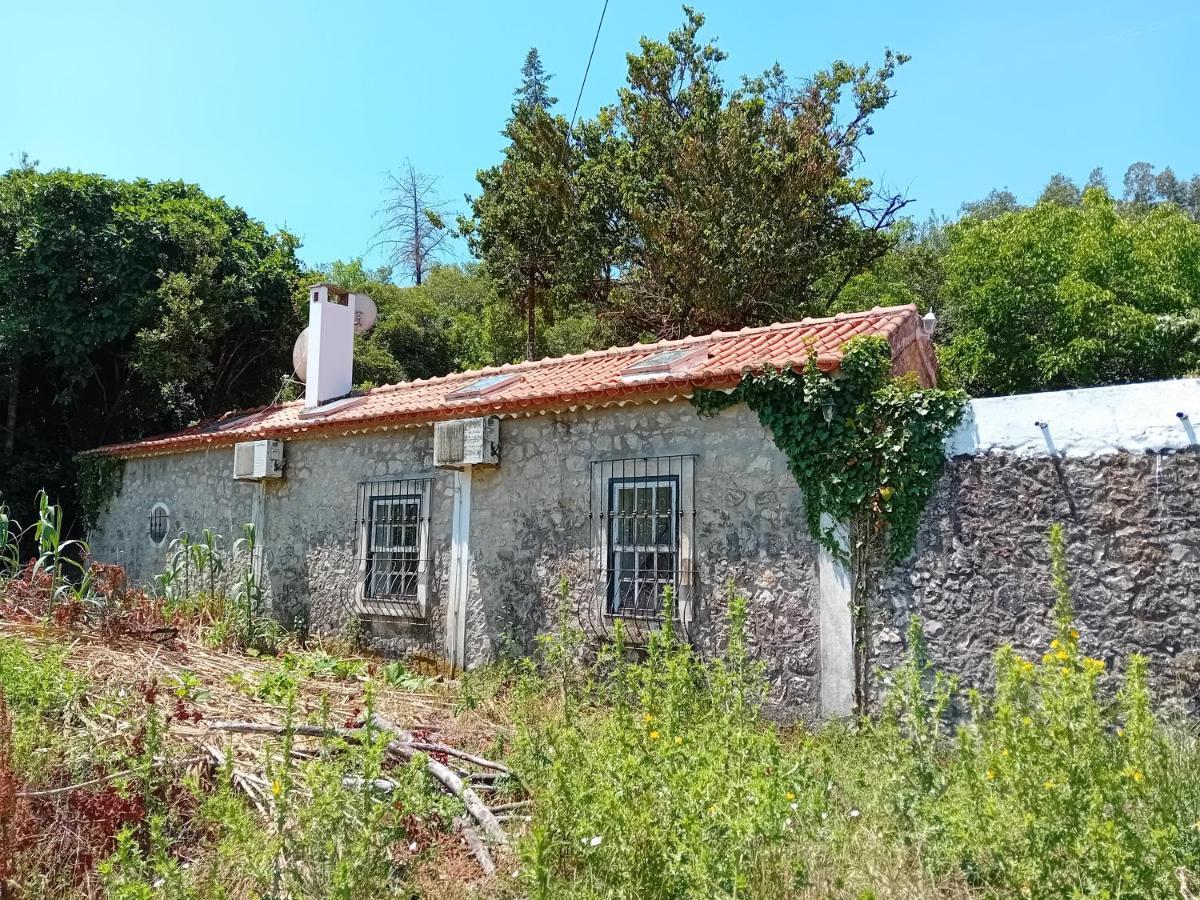 Vila Retiro D'Azenha Almoster Exteriér fotografie