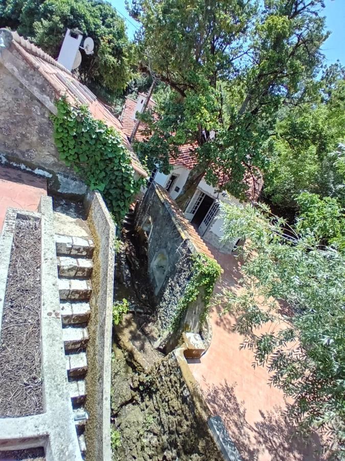 Vila Retiro D'Azenha Almoster Exteriér fotografie